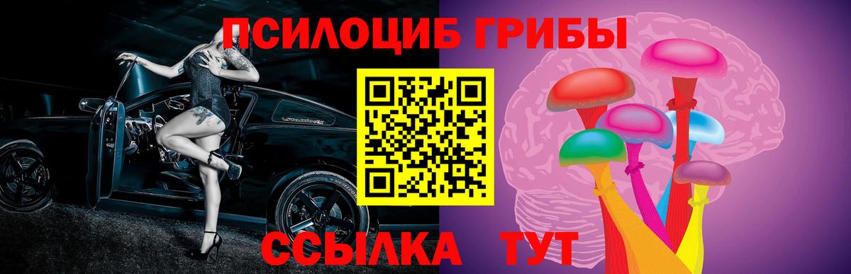 Татарск  Псилоцибиновые грибы Psilocybine cubensis  Вход с VPN 